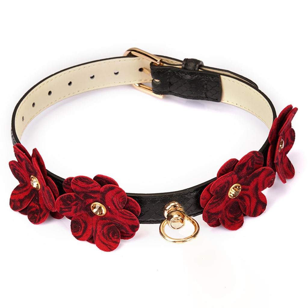Premium | Pet Play Collar with Leash Set | Dominance D/S Neck Restraint | Bondage Couples Lifestyle