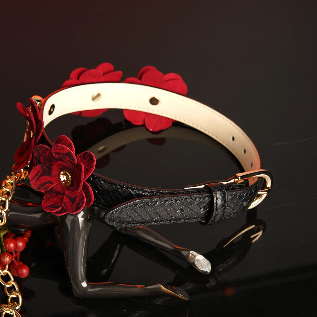 Premium | Pet Play Collar with Leash Set | Dominance D/S Neck Restraint | Bondage Couples Lifestyle