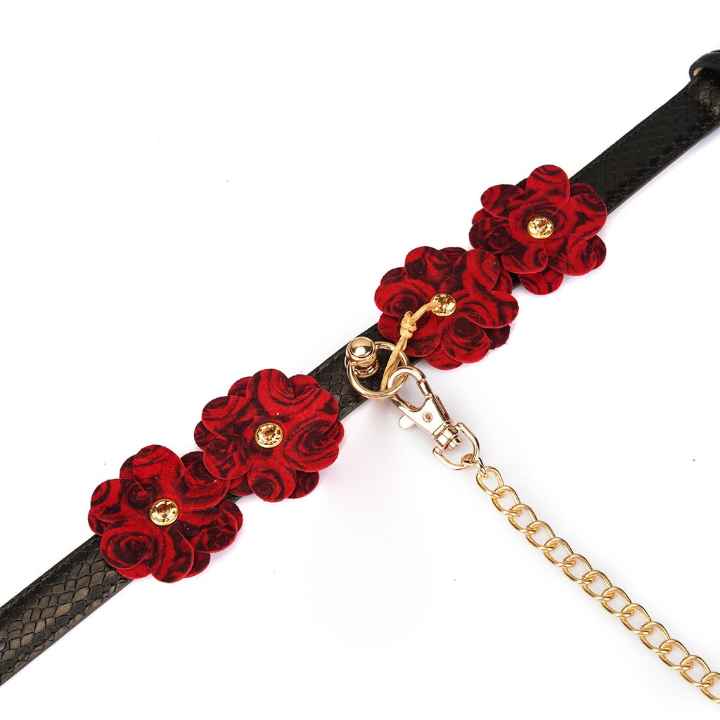 Premium | Pet Play Collar with Leash Set | Dominance D/S Neck Restraint | Bondage Couples Lifestyle