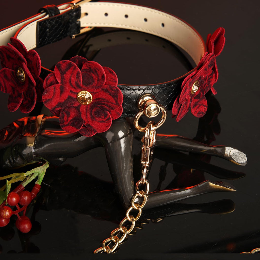 Premium | Pet Play Collar with Leash Set | Dominance D/S Neck Restraint | Bondage Couples Lifestyle