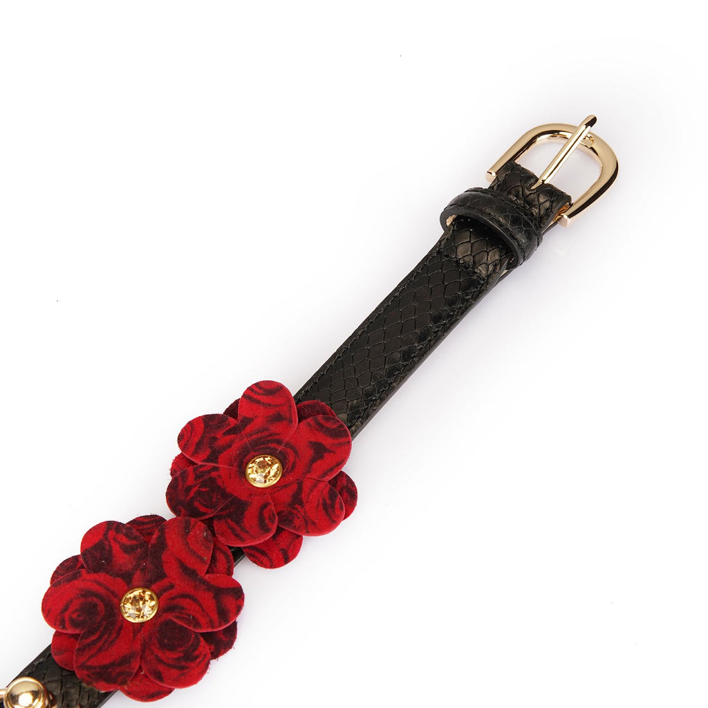 Premium | Pet Play Collar with Leash Set | Dominance D/S Neck Restraint | Bondage Couples Lifestyle
